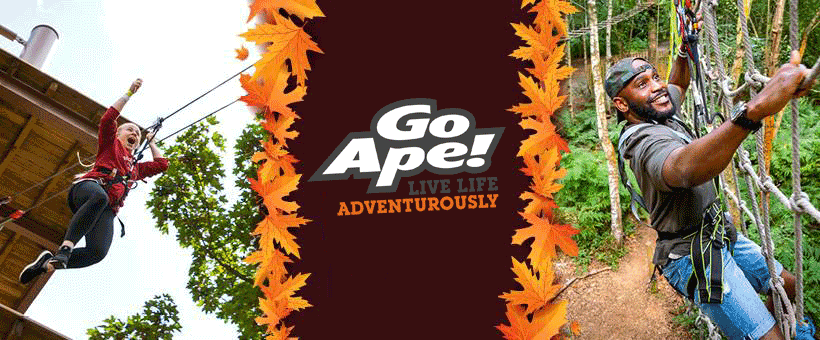 Go Ape