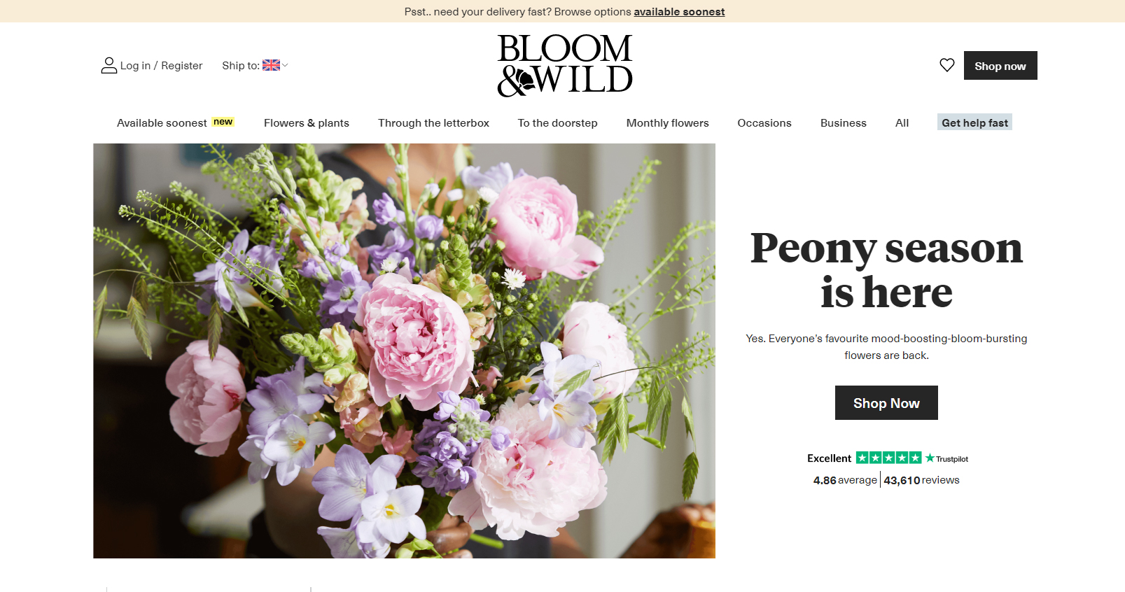 Bloom And Wild screenshot